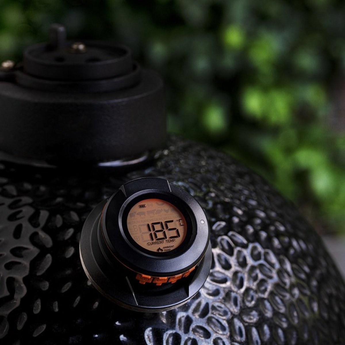 HerQs Dome Thermometer - Kitchen In The Garden