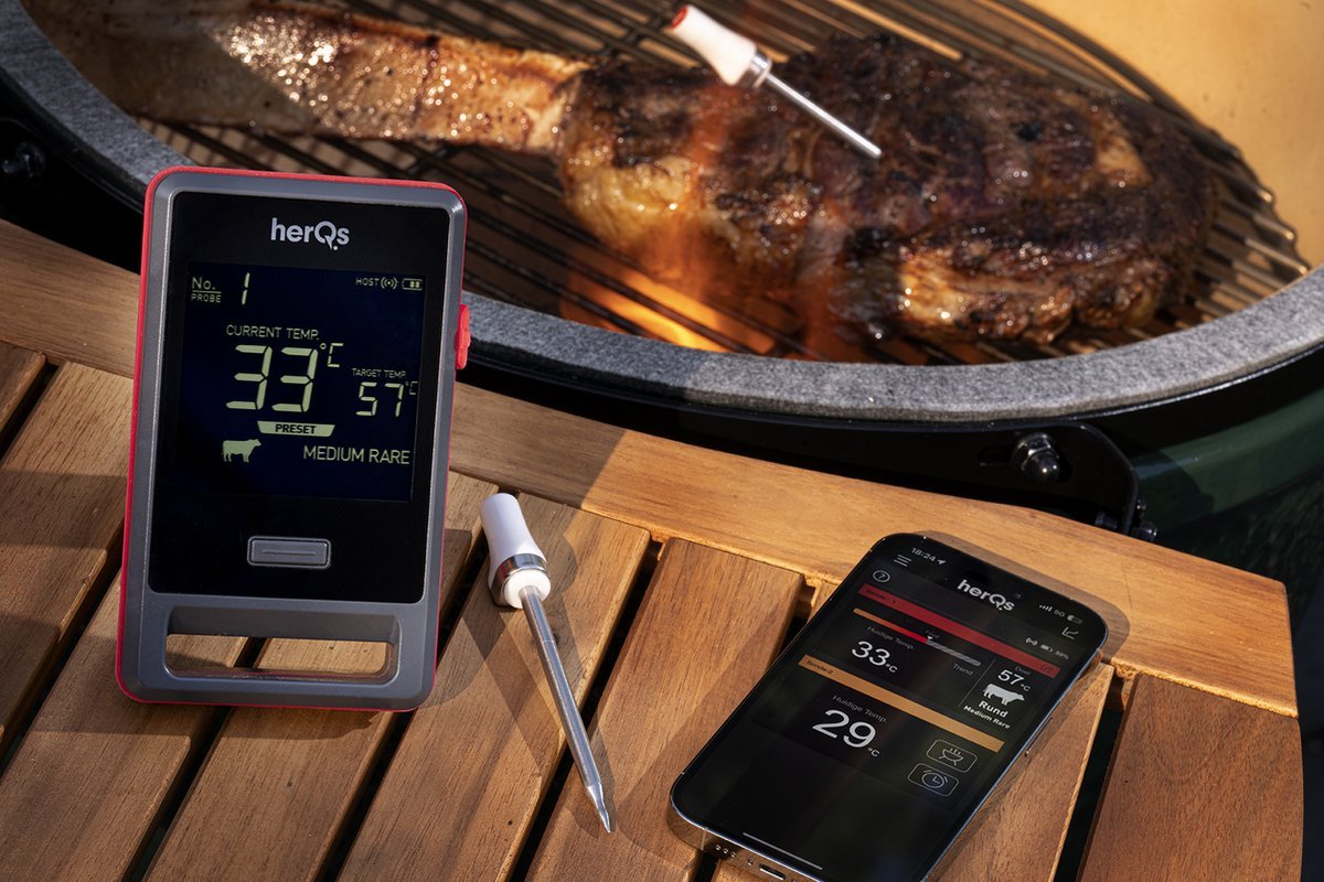 HerQs Pin Pro Thermometer - Kitchen In The Garden